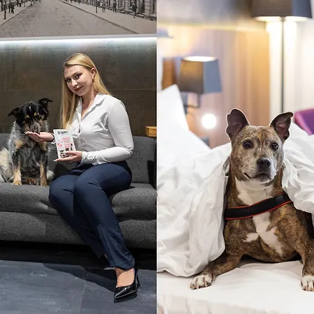 Western Mariacki Hotel