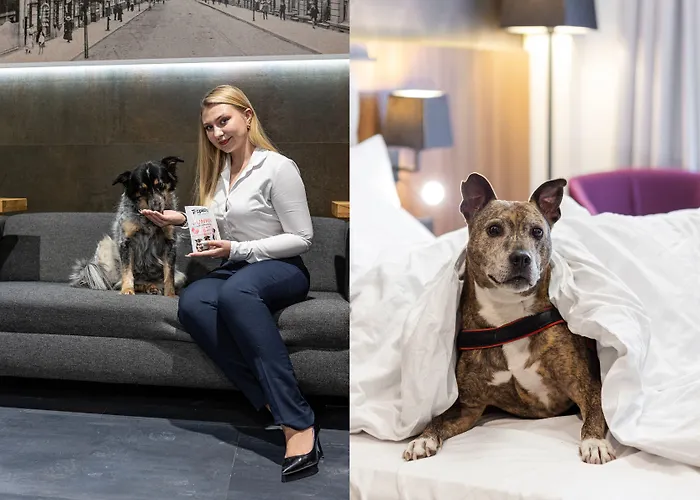 Western Mariacki Hotel